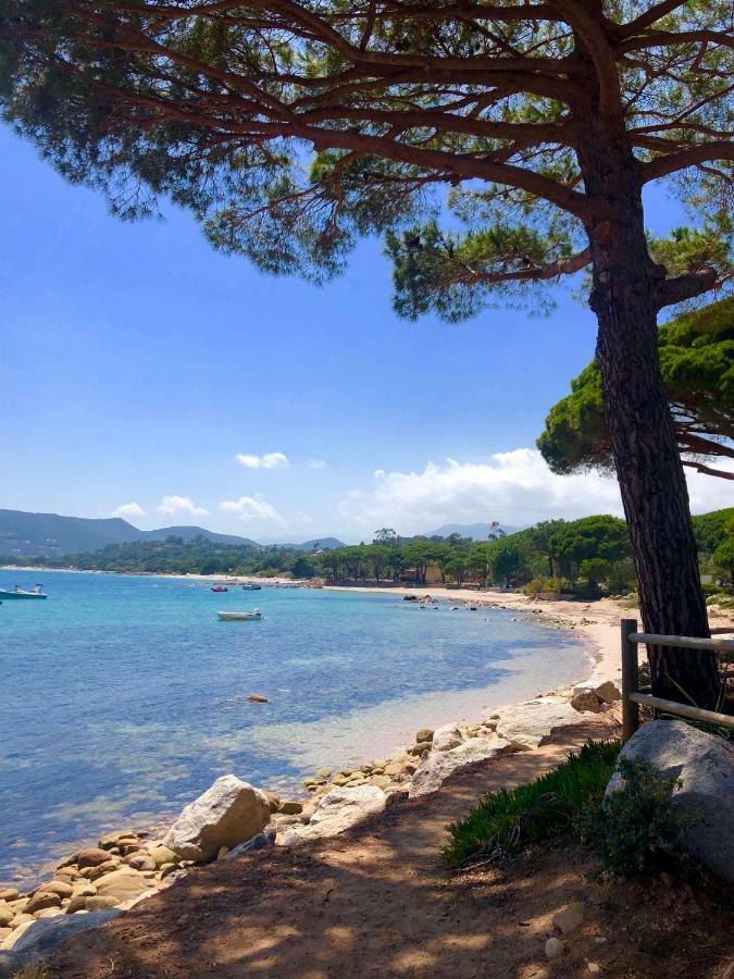 Marina Di Pinarello, Appt Climatise A 400M De La Plage Zonza Exteriér fotografie